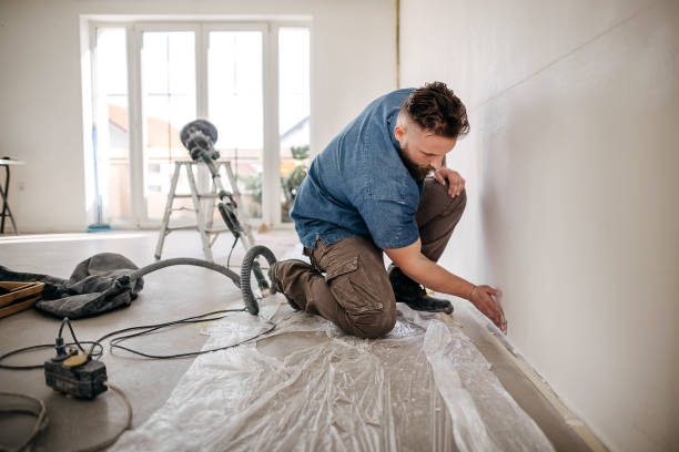 Best Drywall Removal and Disposal  in Centrevle, IL