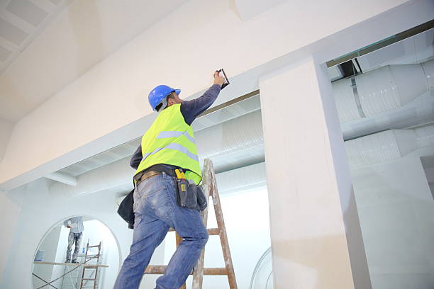 Best Commercial Painting  in Centrevle, IL